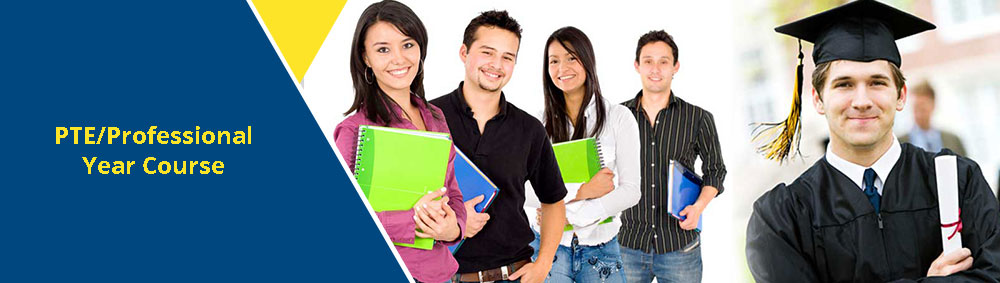 Professional Year Program pte-professional-course